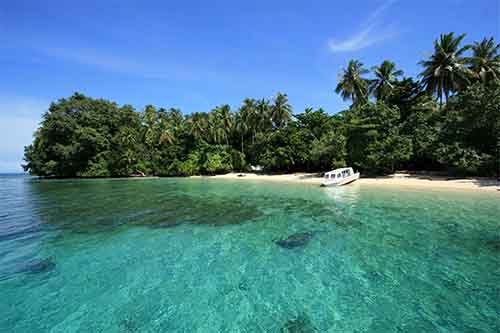 Teluk Cenderawasih Papua